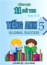 Tổng hợp 11 Đề thi học kì 2 môn Tiếng Anh 5 Global Success (Kèm đáp án và File nghe)